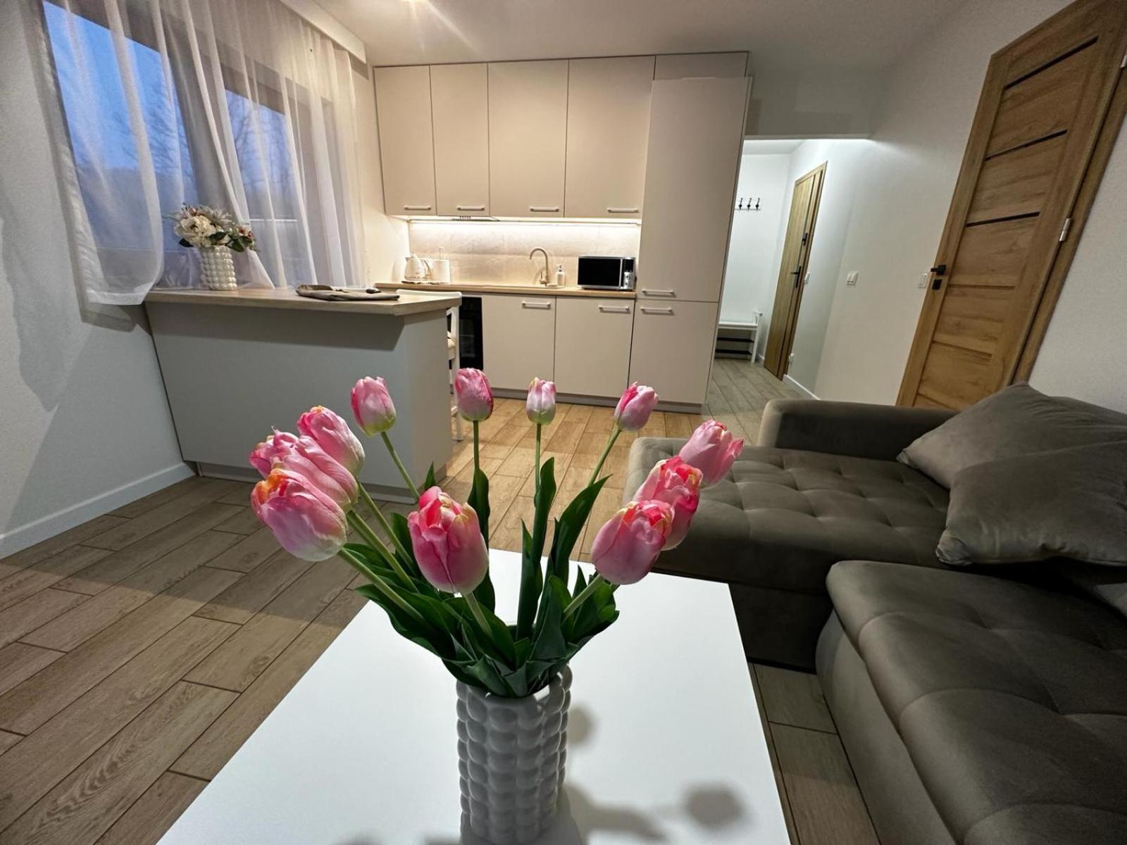 Apartamenty Biala Gran 扎科帕内 外观 照片