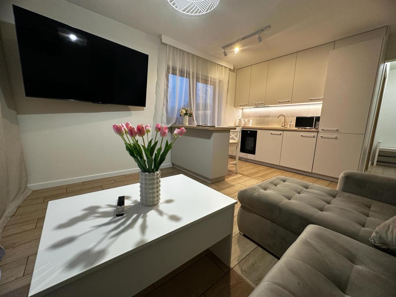 Apartamenty Biala Gran 扎科帕内 外观 照片
